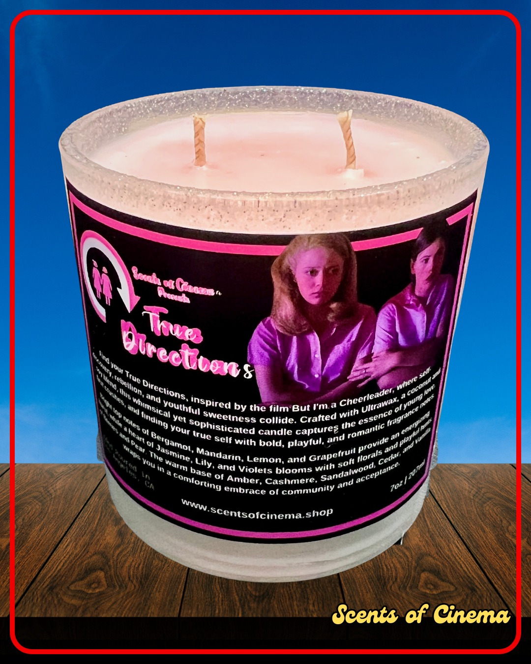 TRUE DIRECTIONS - 7oz | Inspired by the film, BUT I'M A CHEERLEADER (1999)