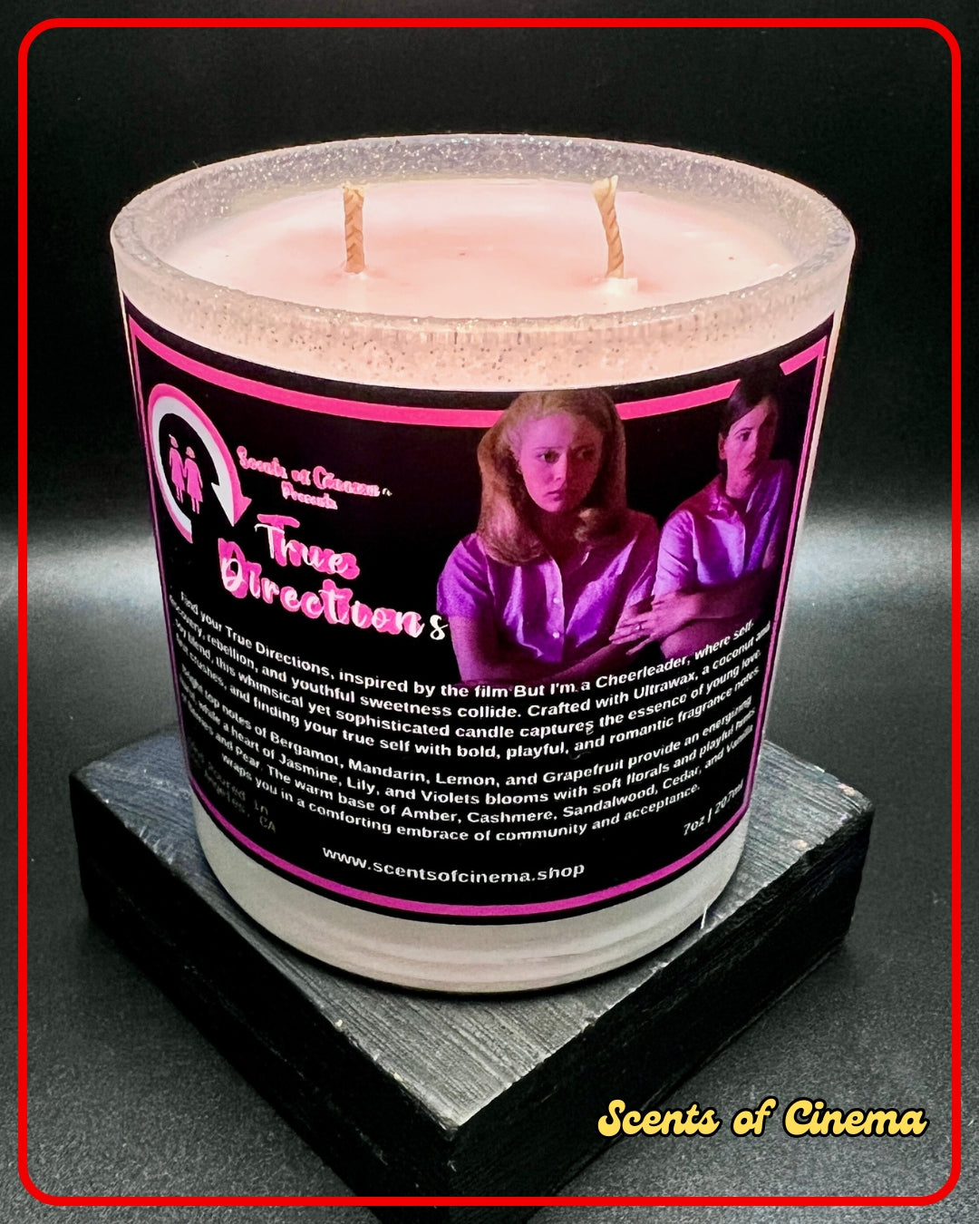 TRUE DIRECTIONS - 7oz | Inspired by the film, BUT I'M A CHEERLEADER (1999)